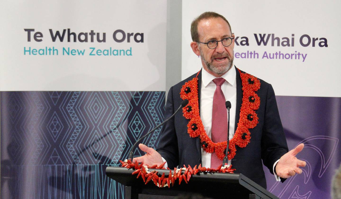 Health Minister Andrew Little said officials are actively considering financial support for nursing practicums. Photo / Jed Bradley