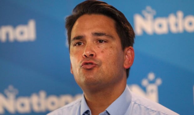 National leader Simon Bridges chairs the Epidemic Response Committee. Photo / Paul Young 