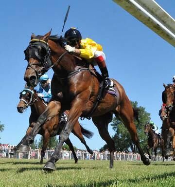 Racing Hugo The Boss In Control At Waipukurau Nz Herald