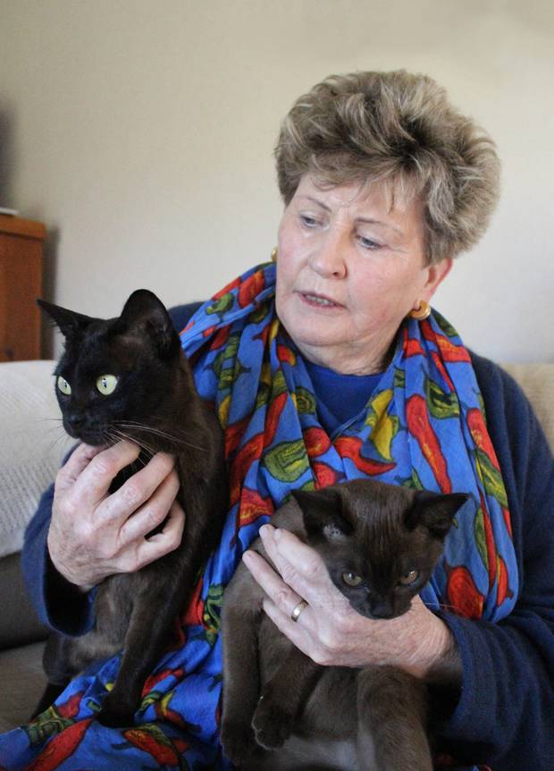 Te Awamutu Felines Enjoy Finer Things In Life Nz Herald