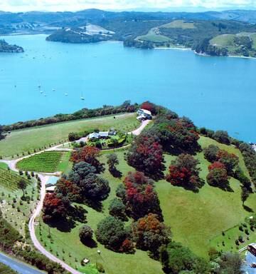 Organic Vineyard On Waiheke Up For Mortgagee Sale Nz Herald