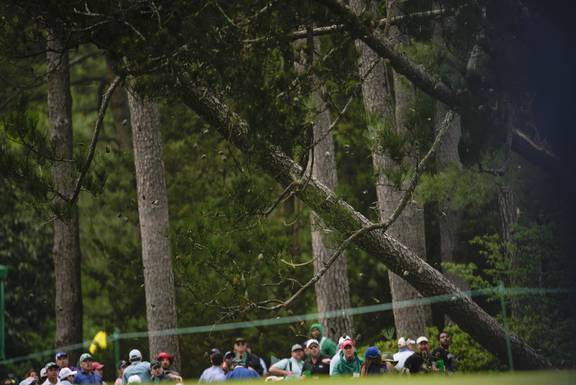Masters 2023: Play suspended during second round at Augusta National as  wild weather sparks scary scenes - NZ Herald