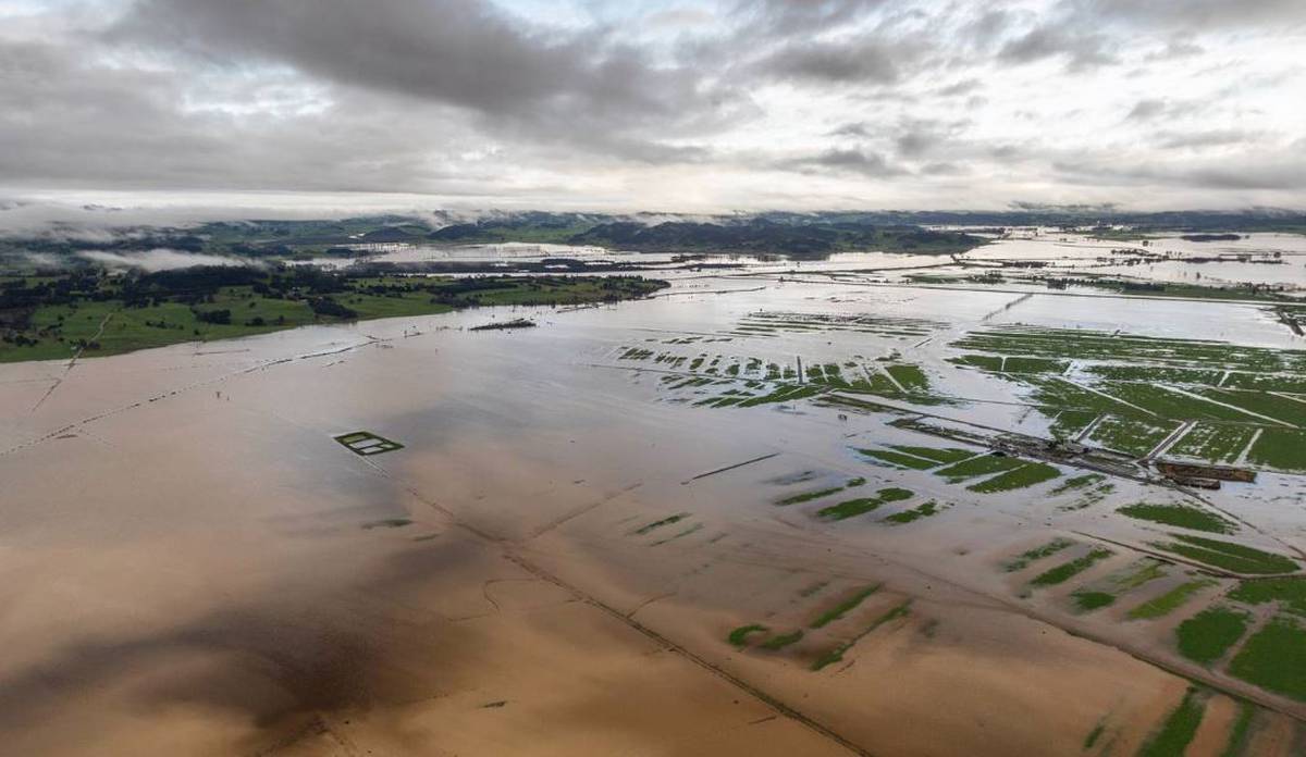 Northland storm: From drought to deluge, farmer loses 30 hectares of grass - New Zealand Herald