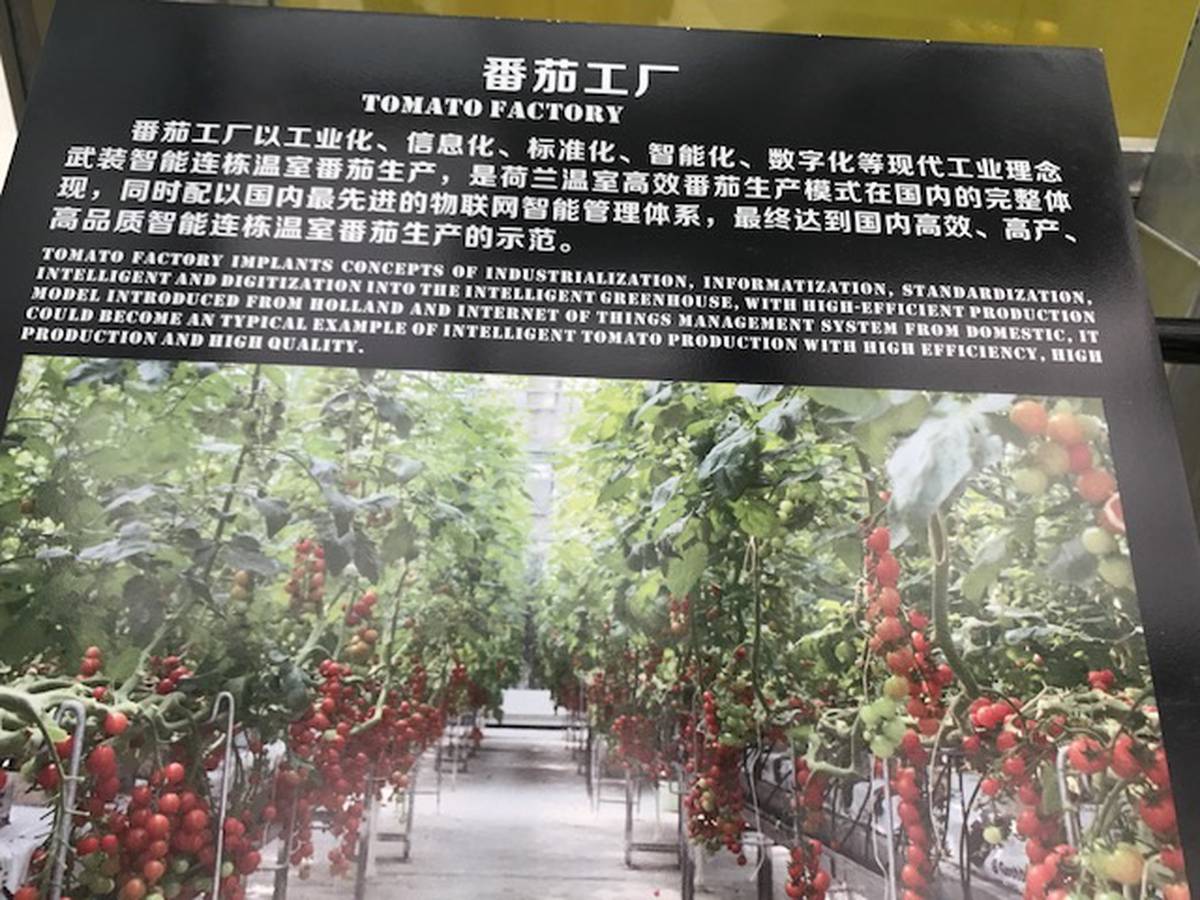 Vertical Farming May Be About To Take Off Nz Herald