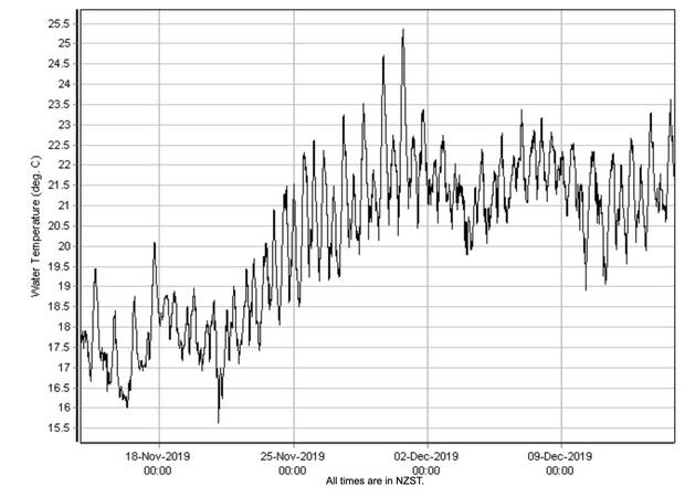 This graph shows water temperatures at Omokoroa, north of Tauranga. Source / Niwa