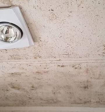 Rotorua Tenants Afraid To Complain About Mould Landlords Make