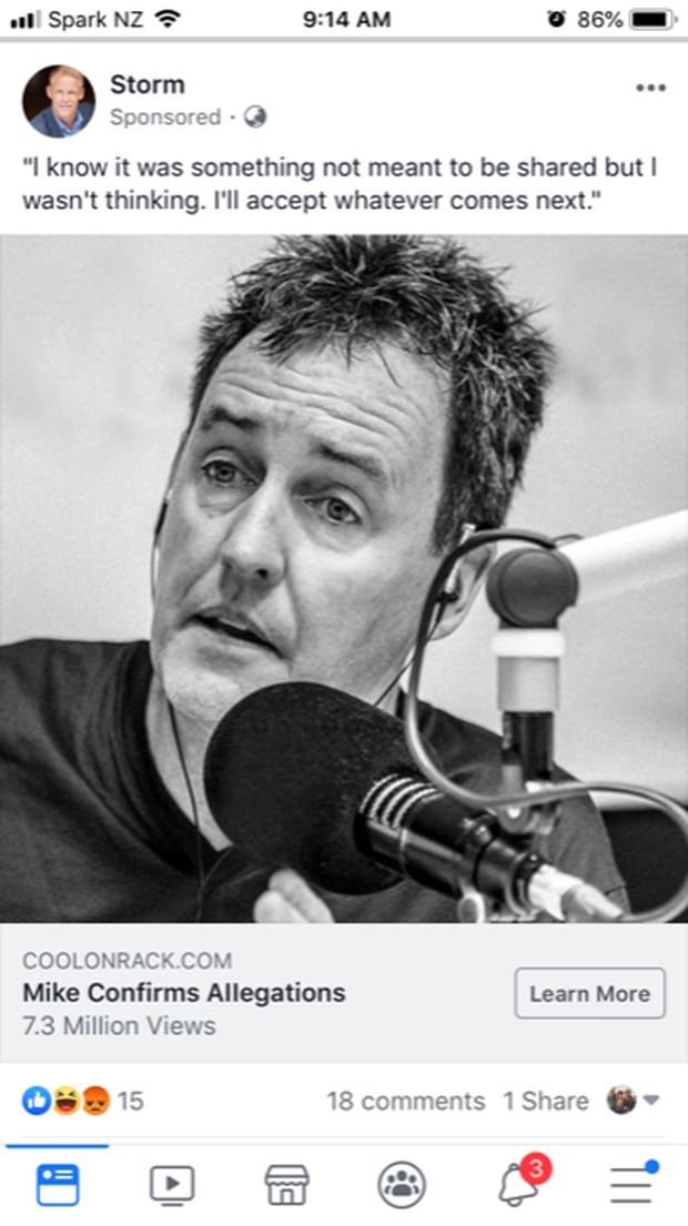 A screenshot of one of the fake news posts. Photo / screenshot