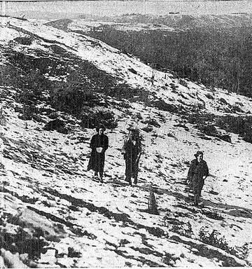 New Zealanders Suffered Frostbite And Bottles Burst On Our Coldest