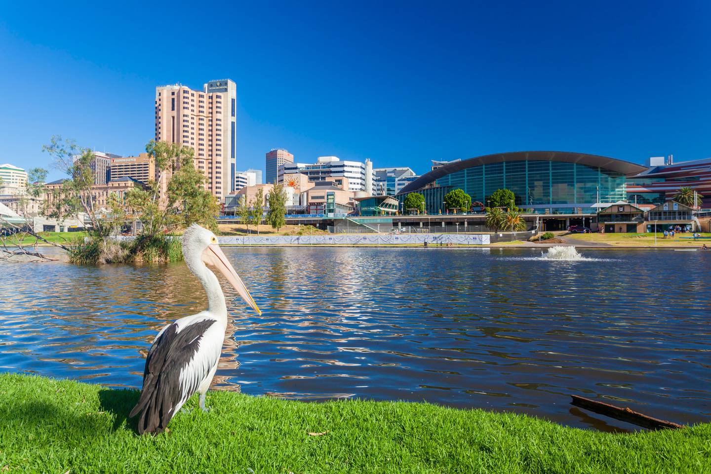 澳大利亚城市阿德莱德目前的房价涨幅最大，年增长率为 7.9%。