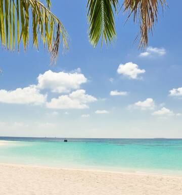 Travel Virtual Backgrounds Are Helping Workers Pretend They Re