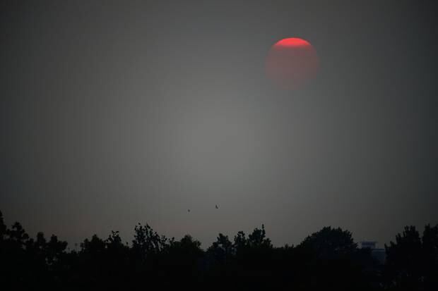 Smoke could block the light of the sun, causing temperatures to drop worldwide. Photo / Getty